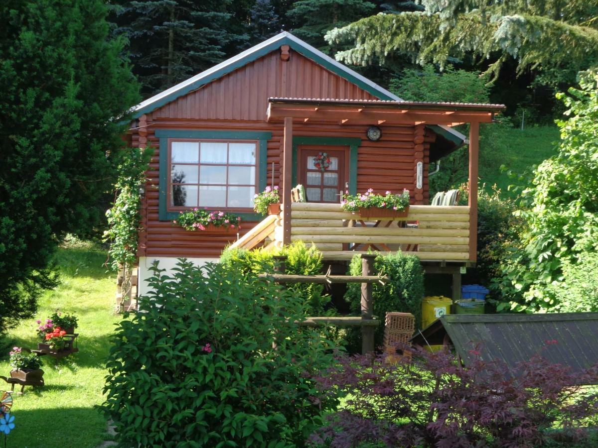 Ferienhaus Sachse Villa Pockau Exteriör bild